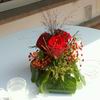 AROMATIQUE