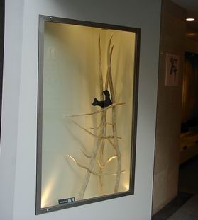 Schaufenster